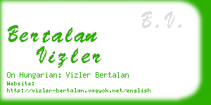 bertalan vizler business card